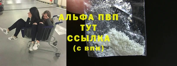 бошки Дмитров