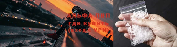 бошки Дмитров