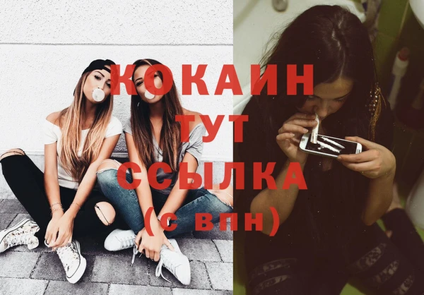 прущая мука Дмитриев