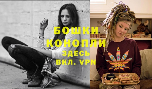 бошки Дмитров