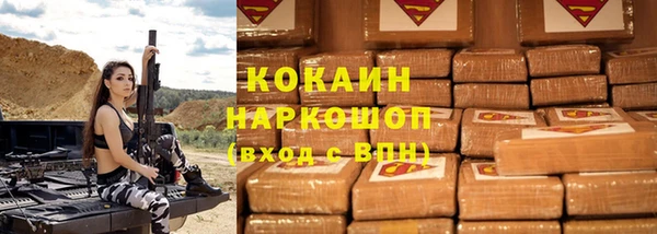 бошки Дмитров