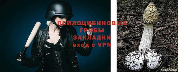 прущая мука Дмитриев