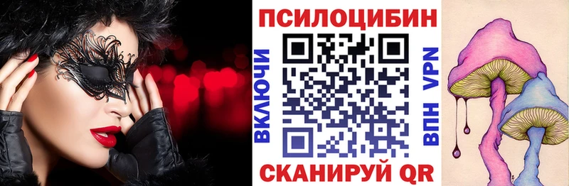 Псилоцибиновые грибы Cubensis Асино