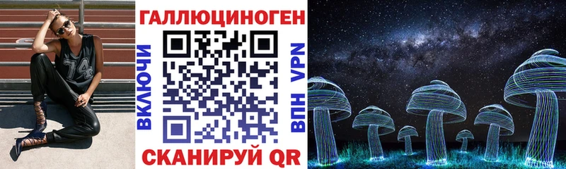 Купить Асино Псилоцибиновые грибы мицелий